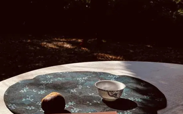Wudang Chuxing homestay