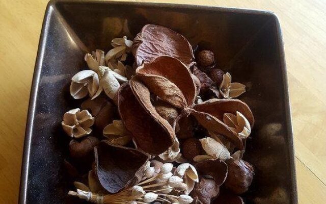 Tony Asga Apartments - Tony Apartment