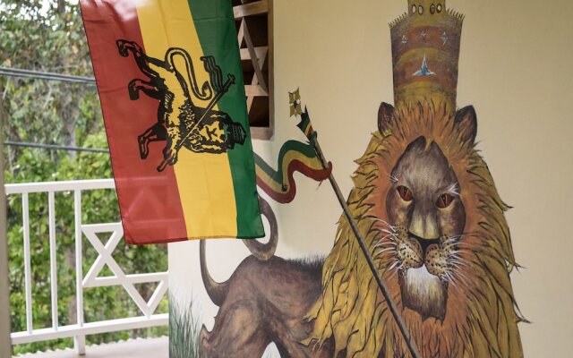 The Lion House Jamaica
