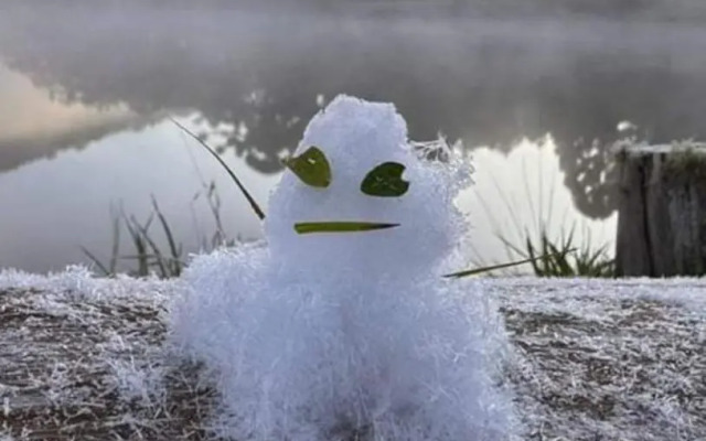 Apartamentos Roncalli Monte Verde