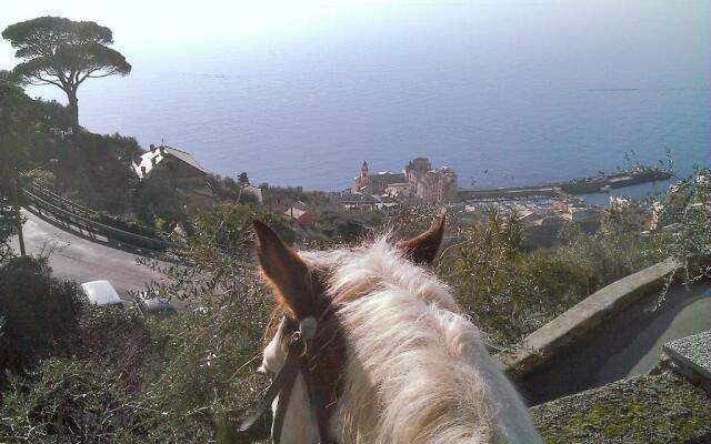 Villetta sul Mare