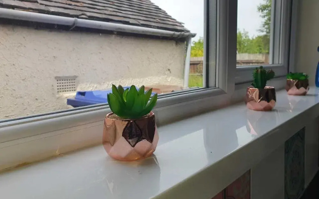 Comfortable Homestay in Stoke
