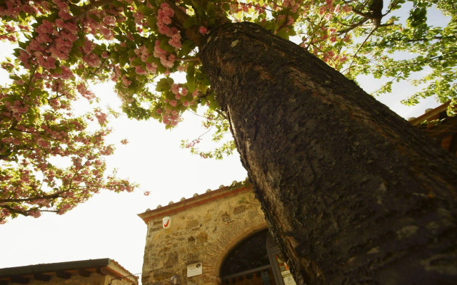 Podere Vignola