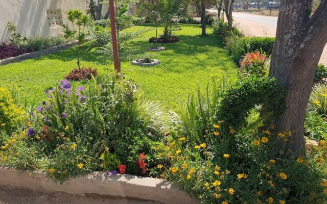 The Oasis Evergreen Lodge