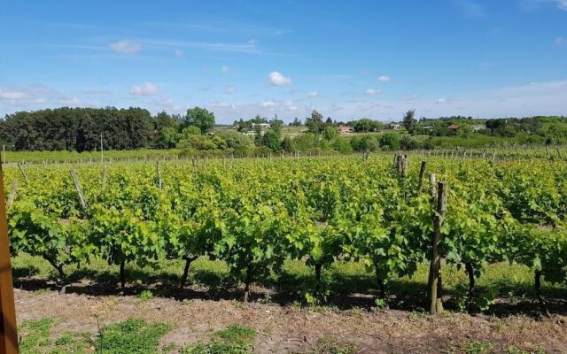 Pizzorno Lodge & Wine