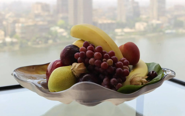 Sofitel Cairo Downtown Nile