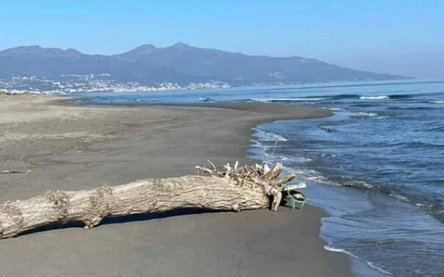 appartement lido de la marana