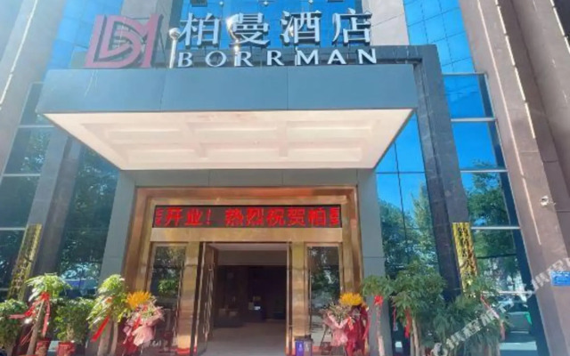 Borrman Hotel (Daye Qinglongshan Park Diaoyudao)