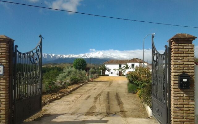 Almazara de Paulenca