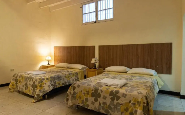 Wild Olive Guest House