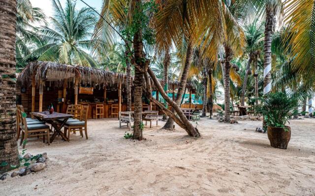 Mayan Monkey Isla Mujeres | Social Hotel