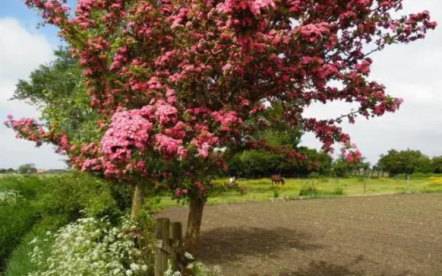 Gastenverblijven boerderij Het Driespan