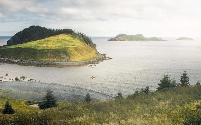 Whale House Guest House