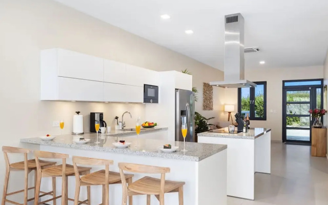 High-end Villa Walk to Beach Pool Ocean View