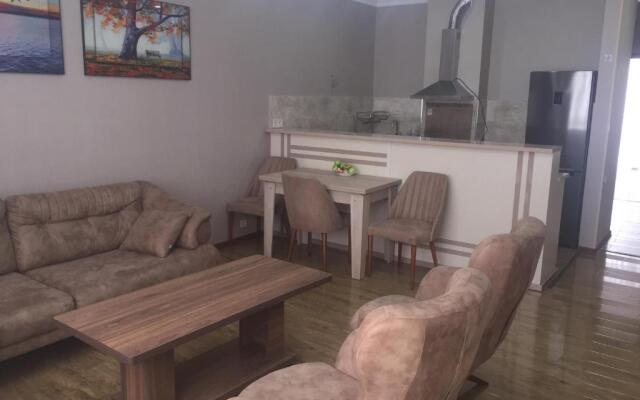 Parnavaz Mefe Street N150 Flat N19
