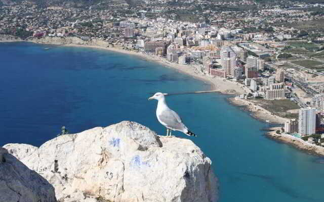 Calpe Vacacional 3000