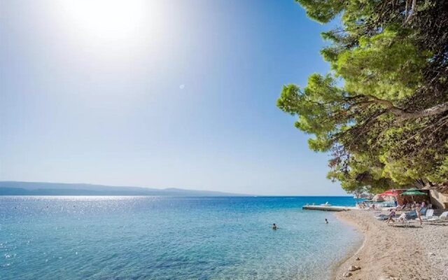 Sagitta All inclusive light