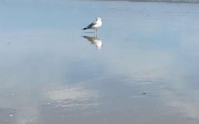 The Summer House - Lower