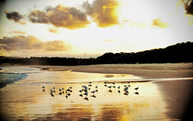 Tranquilo Beach House