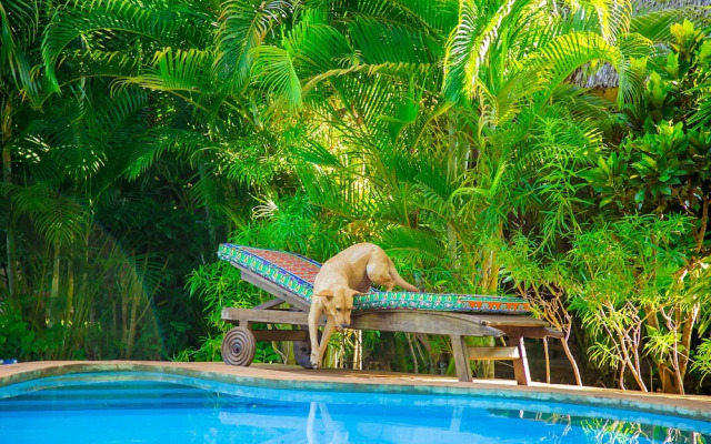 Villakwetu Cottages Diani Beach