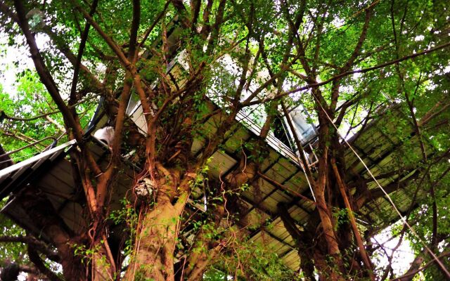 Dao Anh Khanh Treehouse