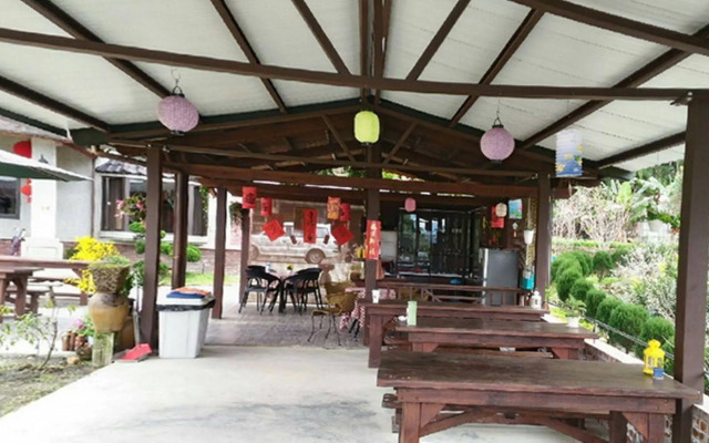 Puli Tenlai