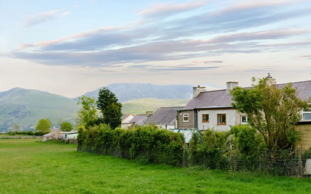 Fron Y Fron in Y Fron