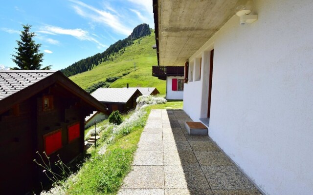 Collini Riederalp in Riederalp