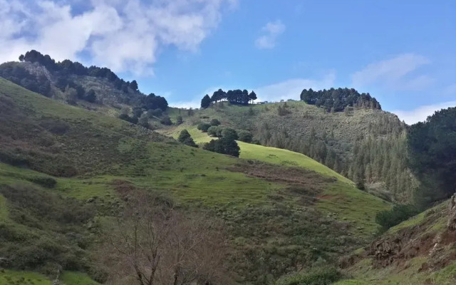 House Villa Palominos Galdar