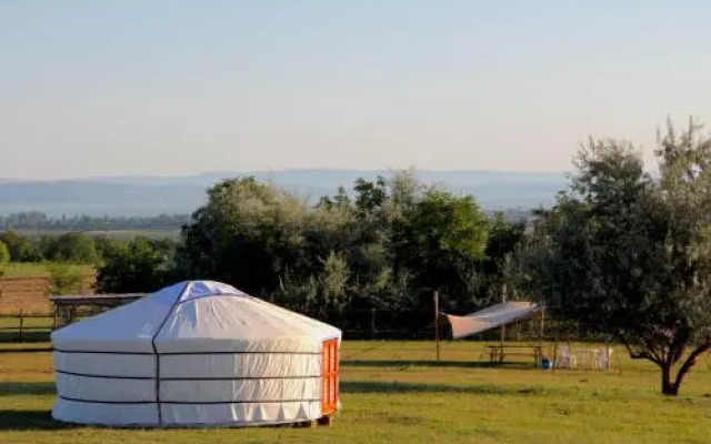 Dharma Horse Shelter Bungalows & Farmping
