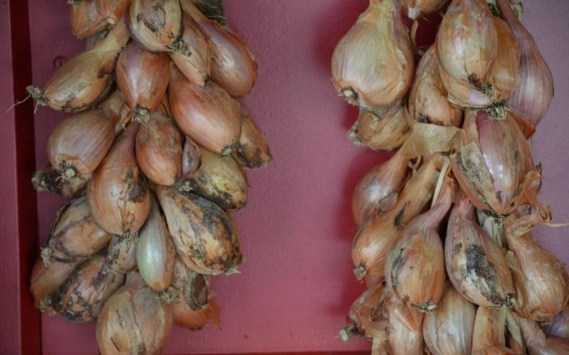 Agriturismo Donna Livia