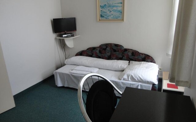 Hotel U Hroznu