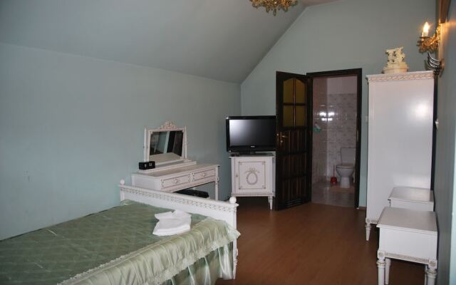 Palac w Czyzowie szlacheckim