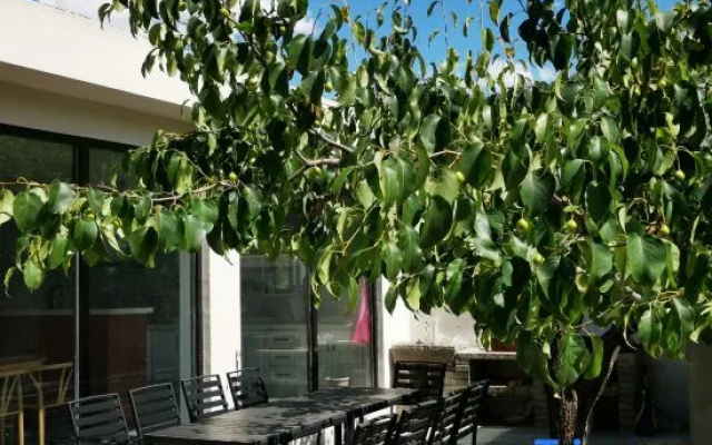 Yuke Homestay (Jingdong Grand Canyon Branch)