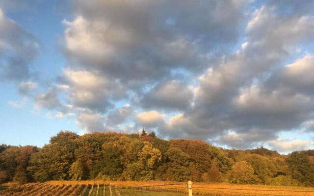 Wijndomein Zwaeneberg