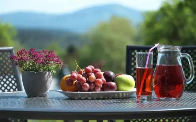 Willa Wzgórze Poręba