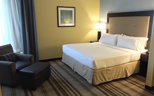 Holiday Inn Express Chicago NW - Arlington Heights, an IHG Hotel