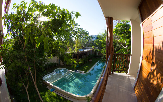 Casa Selva Orquideas