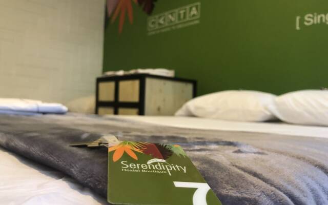 Serendipity Hostel Boutique