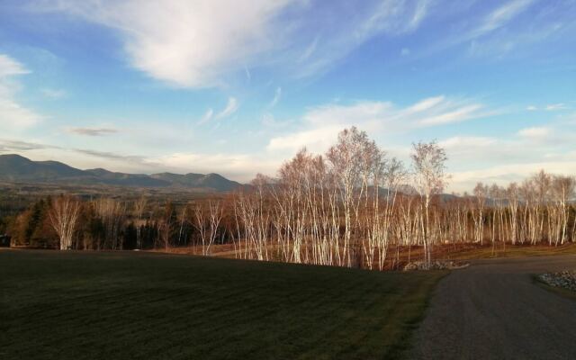 Les Trois Mentors Ghandi, Mandela, Luther King