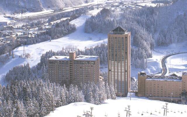 Echigoyuzawaonsen Gardentower Hotel
