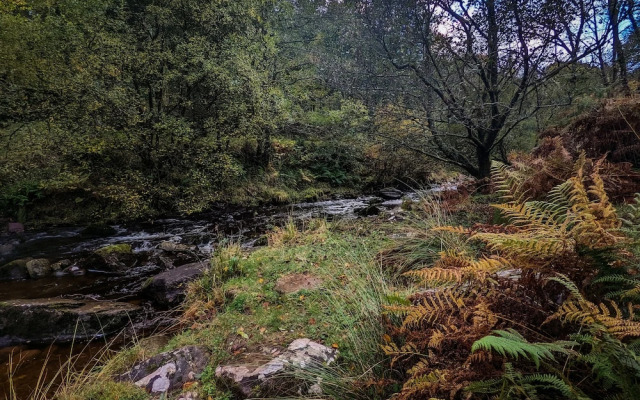 Mill Lodge Brecon Beacons
