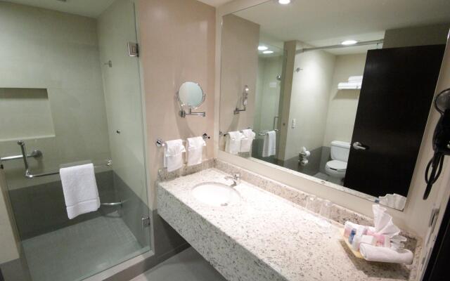 Crowne Plaza Leon by IHG