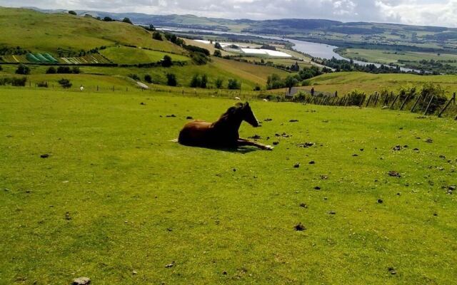 Northlees Farm