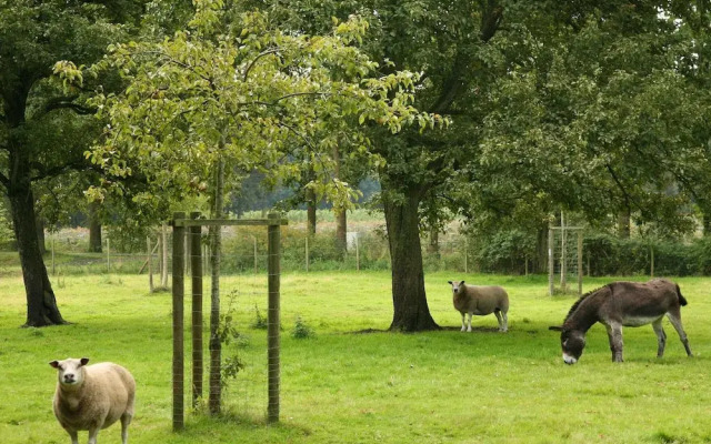 Beautiful Farmhouse in Beernem With big Garden