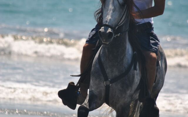 Hotel Locanda Samara Beach