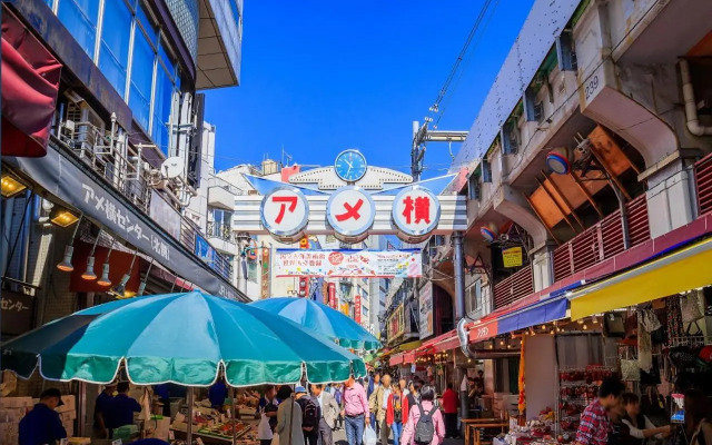 Sotetsu Fresa Inn Ueno Okachimachi