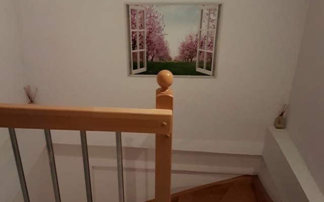 Beyaz Konaklama