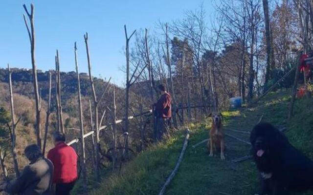 Agriturismo Aspettando il Sole