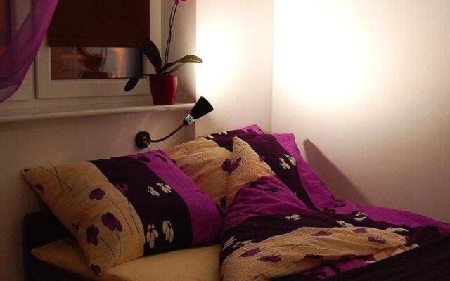 Very Berry Hostel